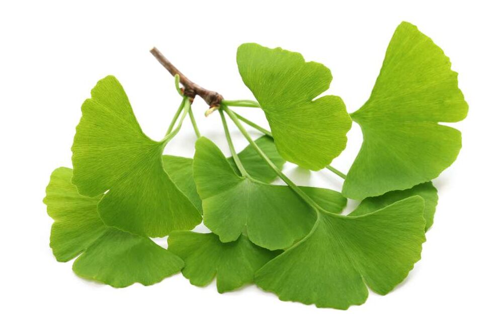 Gélules de gingko biloba Glucoren